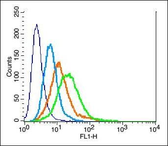 TNFRSF12A/CD266 Rabbit Polyclonal Antibody