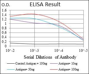 TWIST1 Antibody