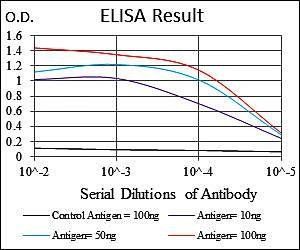 UBE2I Antibody