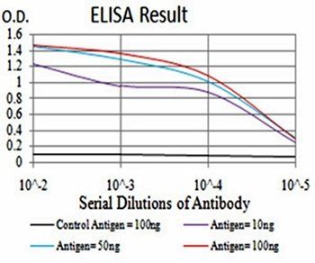 UCP2 Antibody