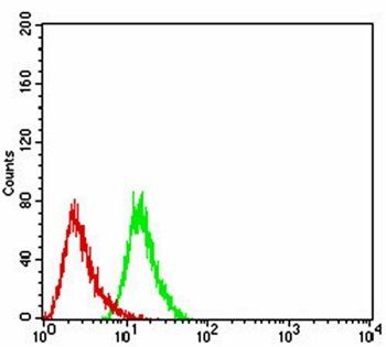 UCP2 Antibody