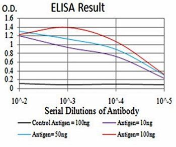 ULK2 Antibody