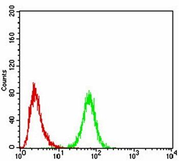 ULK2 Antibody