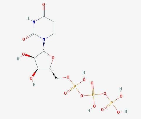UTP - Solution