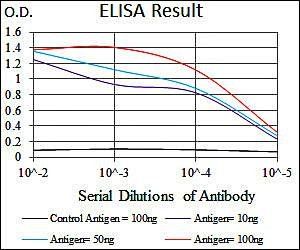 VAV1 Antibody