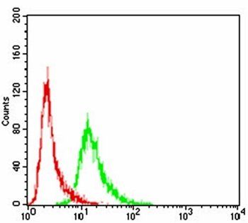 VAV2 Antibody