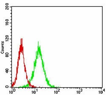 VTN Antibody