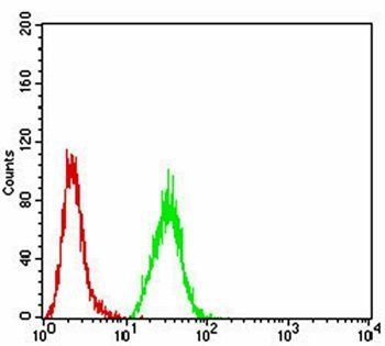 WNT3A Antibody