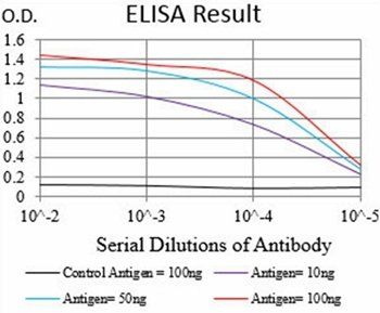 XRCC6 Antibody