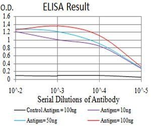 XRN2 Antibody
