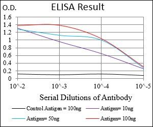 ZEB1 Antibody