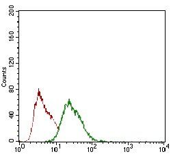 ZFP42 Antibody