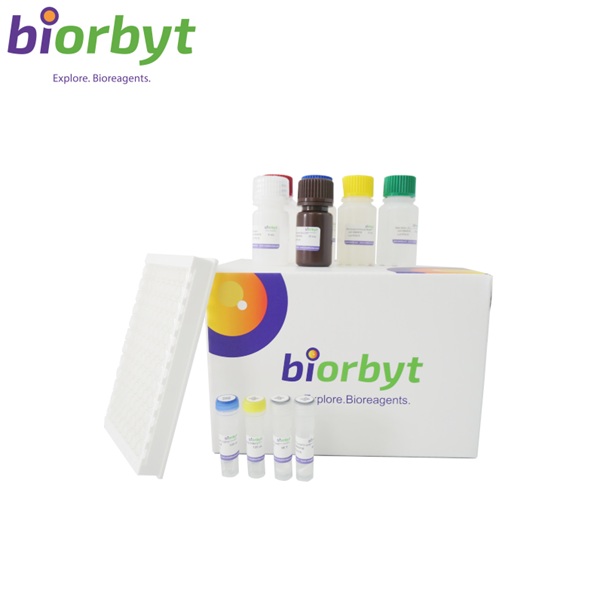 Pig Immunoglobulin M ELISA Kit