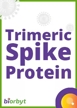 Trimeric Spike Protein