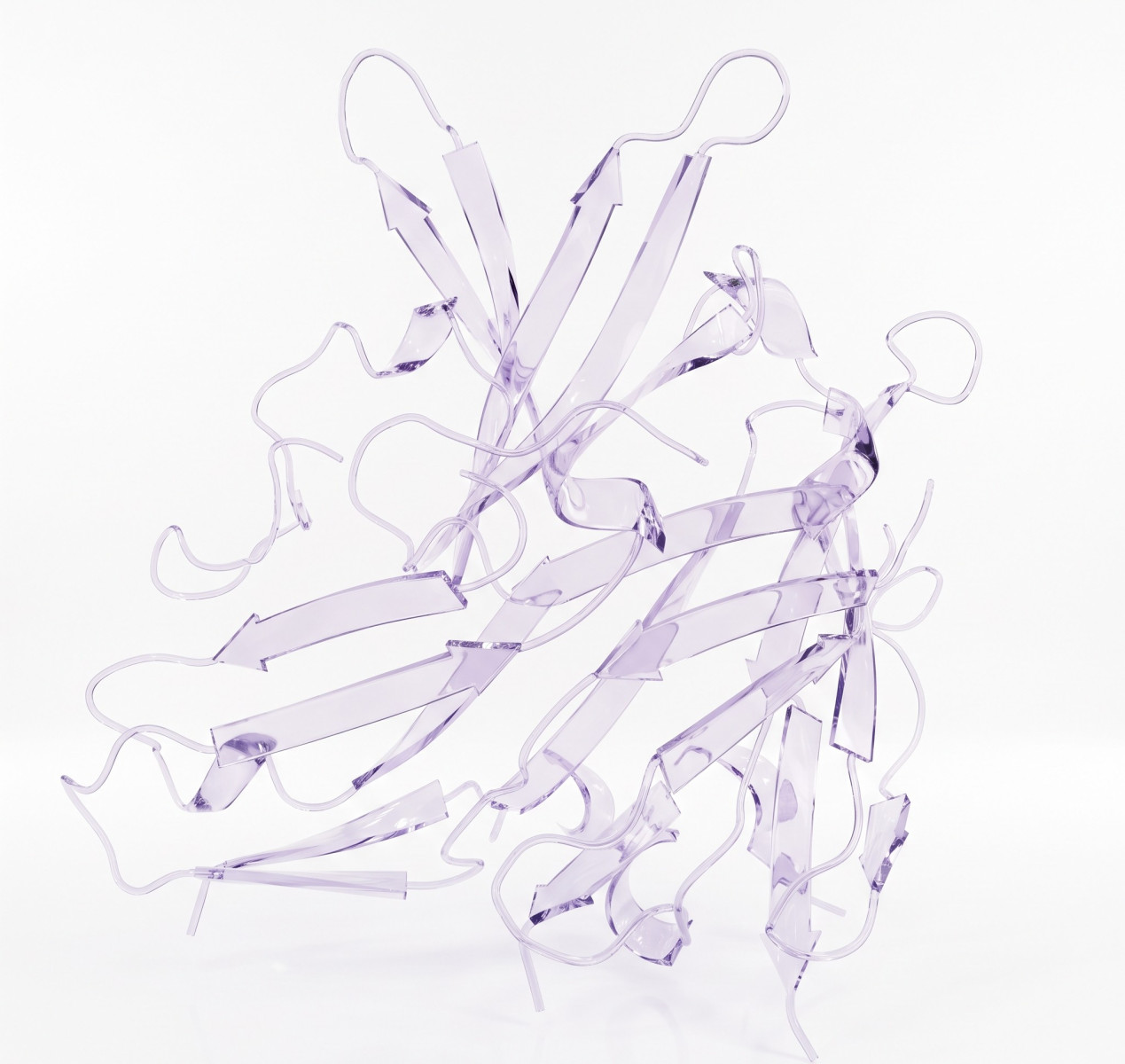 Biorbyt Protein Render